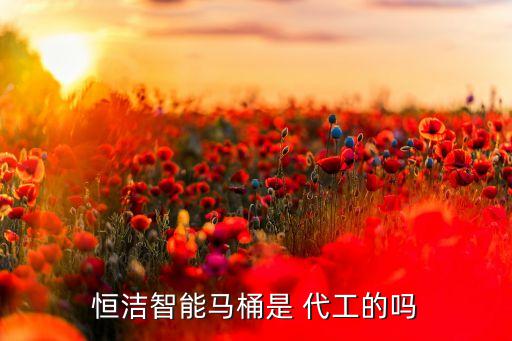 恒潔智能馬桶是 代工的嗎