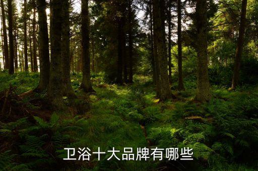 欽陶衛(wèi)浴是品牌嗎,中陶衛(wèi)浴是幾線品牌