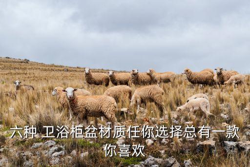 六種 衛(wèi)浴柜盆材質(zhì)任你選擇總有一款你喜歡