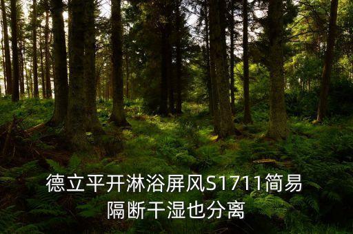  德立平開淋浴屏風(fēng)S1711簡易 隔斷干濕也分離