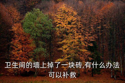 衛(wèi)生間的墻上掉了一塊磚,有什么辦法可以補(bǔ)救