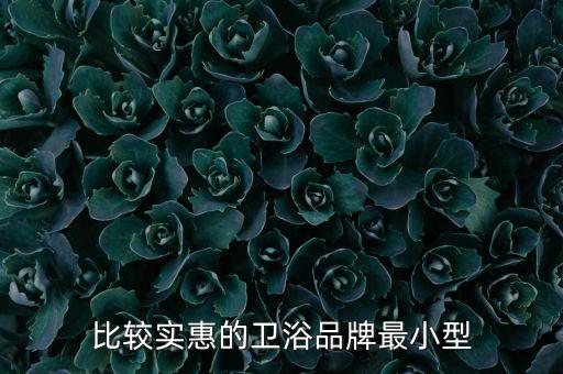 比較實惠的衛(wèi)浴品牌最小型