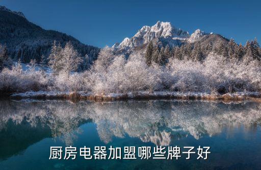 廚房電器加盟哪些牌子好