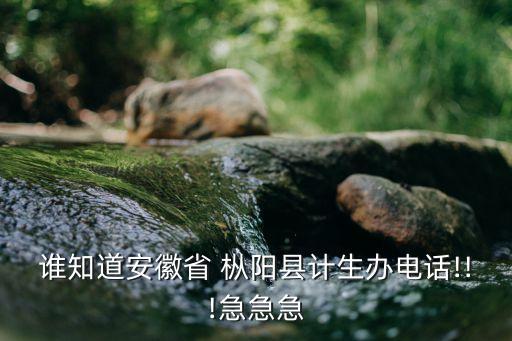 誰知道安徽省 樅陽縣計生辦電話!!!急急急