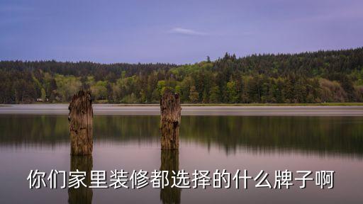 你們家里裝修都選擇的什么牌子啊
