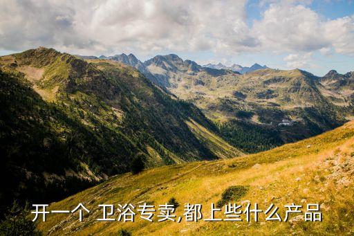 開(kāi)一個(gè) 衛(wèi)浴專(zhuān)賣(mài),都上些什么產(chǎn)品