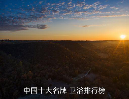 中國十大名牌 衛(wèi)浴排行榜
