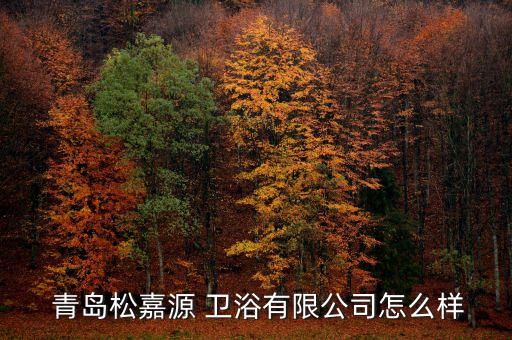  青島松嘉源 衛(wèi)浴有限公司怎么樣