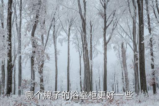 歐風(fēng)輕奢衛(wèi)浴圖片,現(xiàn)代輕奢風(fēng)格衛(wèi)浴圖片