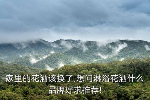 家里的花灑該換了,想問(wèn)淋浴花灑什么品牌好求推薦!