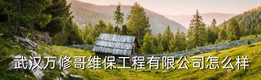 武漢裝修衛(wèi)浴安裝電話多少