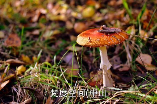 鄆城衛(wèi)浴商城地址電話號(hào)碼