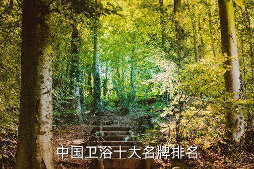 中國衛(wèi)浴十大名牌排名