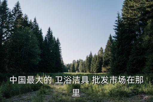 中國(guó)最大的 衛(wèi)浴潔具 批發(fā)市場(chǎng)在那里