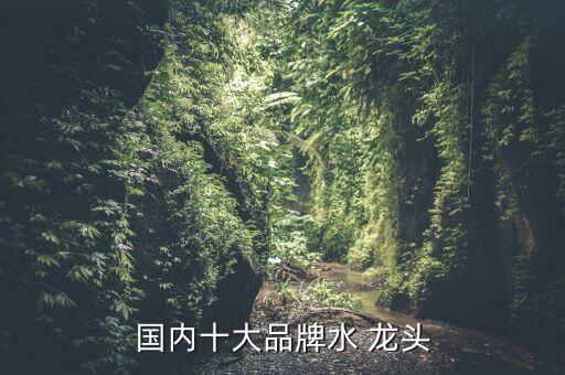 國內(nèi)十大品牌水 龍頭