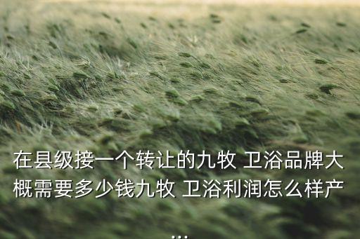 在縣級(jí)接一個(gè)轉(zhuǎn)讓的九牧 衛(wèi)浴品牌大概需要多少錢(qián)九牧 衛(wèi)浴利潤(rùn)怎么樣產(chǎn)...