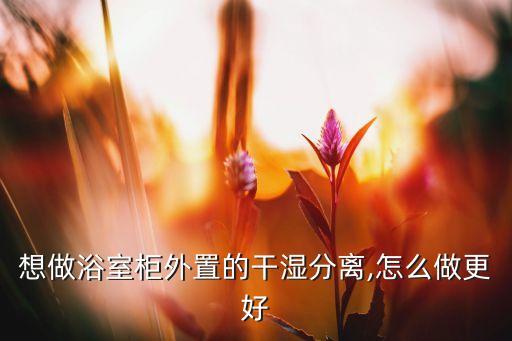 衛(wèi)浴柜帶隔斷柜圖片