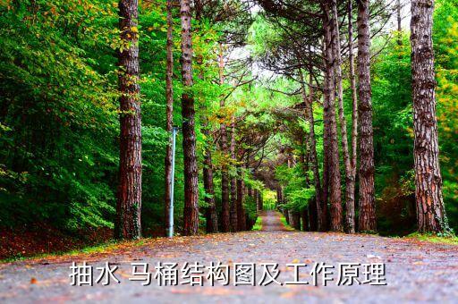 抽水 馬桶結(jié)構(gòu)圖及工作原理