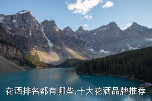 花灑排名都有哪些,十大花灑品牌推薦