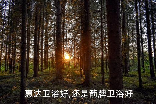  惠達(dá)衛(wèi)浴好,還是箭牌衛(wèi)浴好