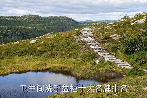 衛(wèi)生間洗手盆柜十大名牌排名