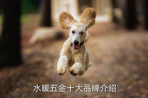  水暖五金十大品牌介紹