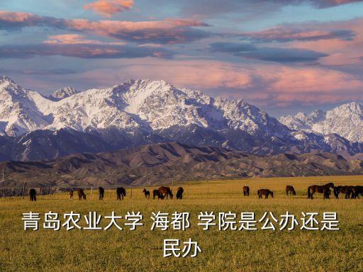 青島農業(yè)大學 海都 學院是公辦還是民辦