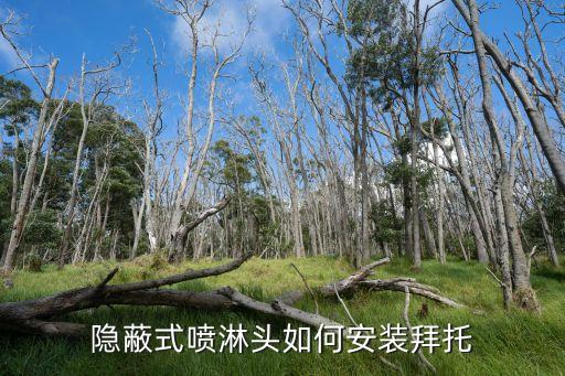 隱蔽式噴淋頭如何安裝拜托