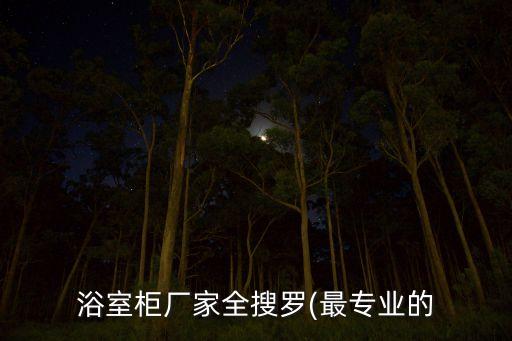 浴室柜廠家全搜羅(最專業(yè)的