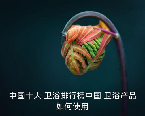中國十大 衛(wèi)浴排行榜中國 衛(wèi)浴產(chǎn)品如何使用
