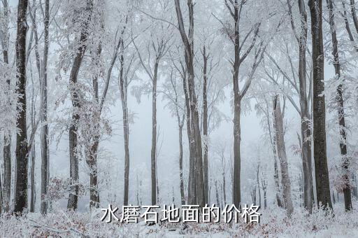 水磨石彩色衛(wèi)浴圖片欣賞,院子水磨石地面圖片欣賞