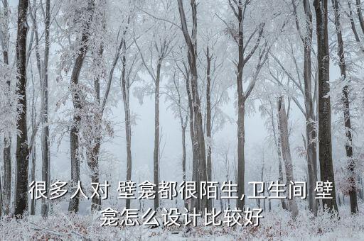 很多人對(duì) 壁龕都很陌生,衛(wèi)生間 壁龕怎么設(shè)計(jì)比較好