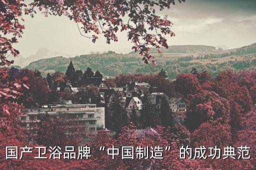 國產(chǎn)衛(wèi)浴品牌“中國制造”的成功典范