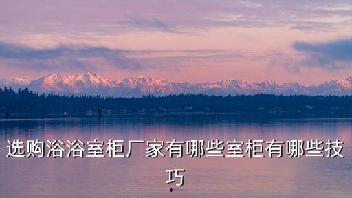 鋁材衛(wèi)浴鏡柜圖片大全