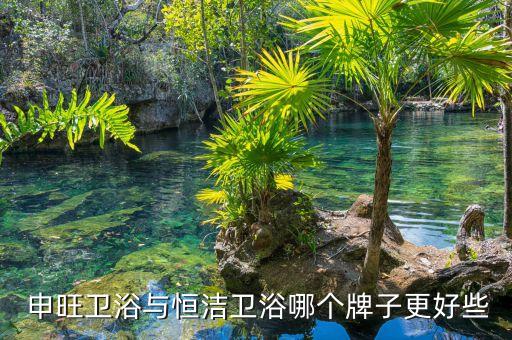  申旺衛(wèi)浴與恒潔衛(wèi)浴哪個(gè)牌子更好些