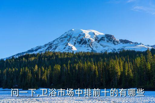 問一下,衛(wèi)浴市場中排前十的有哪些