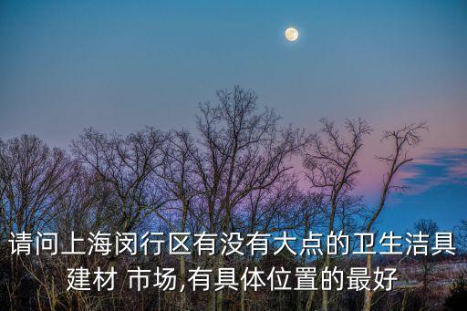 請問上海閔行區(qū)有沒有大點(diǎn)的衛(wèi)生潔具建材 市場,有具體位置的最好