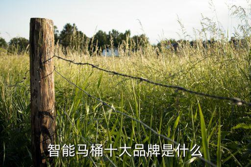 西安定制衛(wèi)浴品牌大全圖片,toto衛(wèi)浴品牌大全圖片