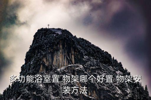 品牌衛(wèi)浴置物架廚房設(shè)計(jì),衛(wèi)浴置物架品牌排行榜前十名有哪些