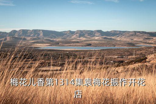 泌陽(yáng)小花姐衛(wèi)浴電話地址