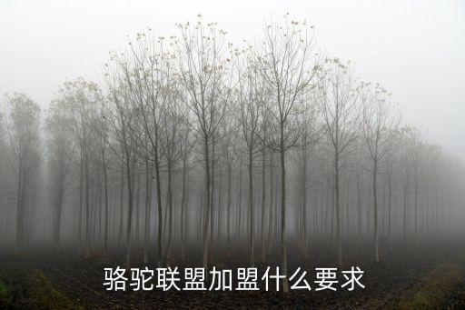 駱駝衛(wèi)浴加盟電話(huà),摩恩衛(wèi)浴加盟電話(huà)