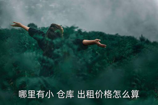 哪里有小 倉庫 出租價格怎么算