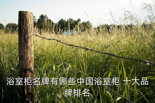 浴室柜名牌有哪些中國(guó)浴室柜 十大品牌排名