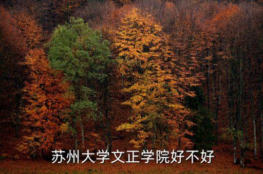 蘇州網(wǎng)紅衛(wèi)浴店地址