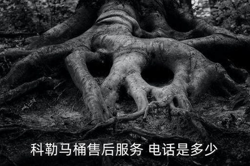 科勒馬桶售后服務(wù) 電話是多少