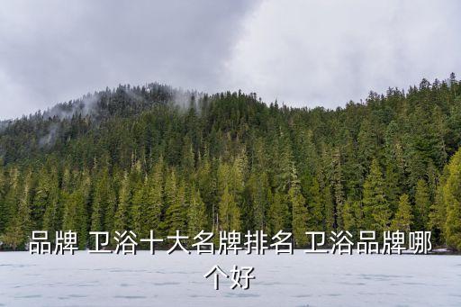 品牌 衛(wèi)浴十大名牌排名 衛(wèi)浴品牌哪個好