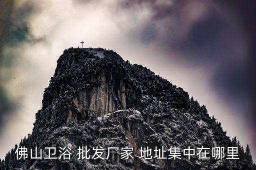 深圳坪地衛(wèi)浴批發(fā)市場地址,深圳衛(wèi)浴批發(fā)市場在哪里