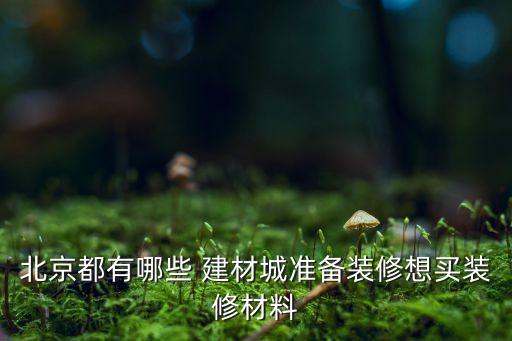 北京都有哪些 建材城準(zhǔn)備裝修想買裝修材料