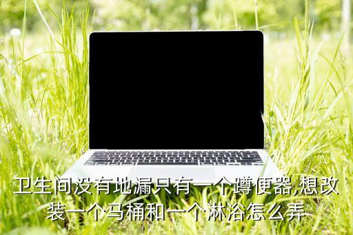 衛(wèi)生間沒(méi)有地漏只有一個(gè)蹲便器,想改裝一個(gè)馬桶和一個(gè)淋浴怎么弄