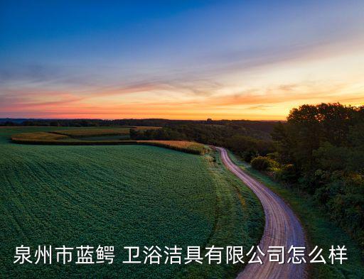 泉州市藍(lán)鱷 衛(wèi)浴潔具有限公司怎么樣